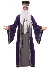 Wizard Costume Purple - Mens Halloween Costumes